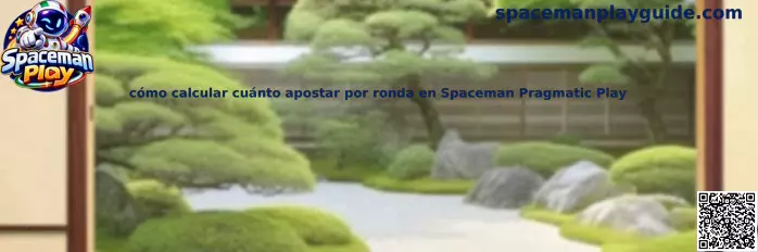 Guía informativa para calcular el presupuesto por ronda en Spaceman Pragmatic Play